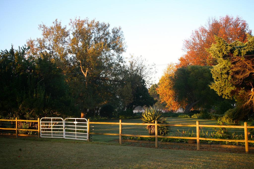 Sneezewood Farm Bed&Breakfast&Self-Catering Cottage Dundee Exteriör bild